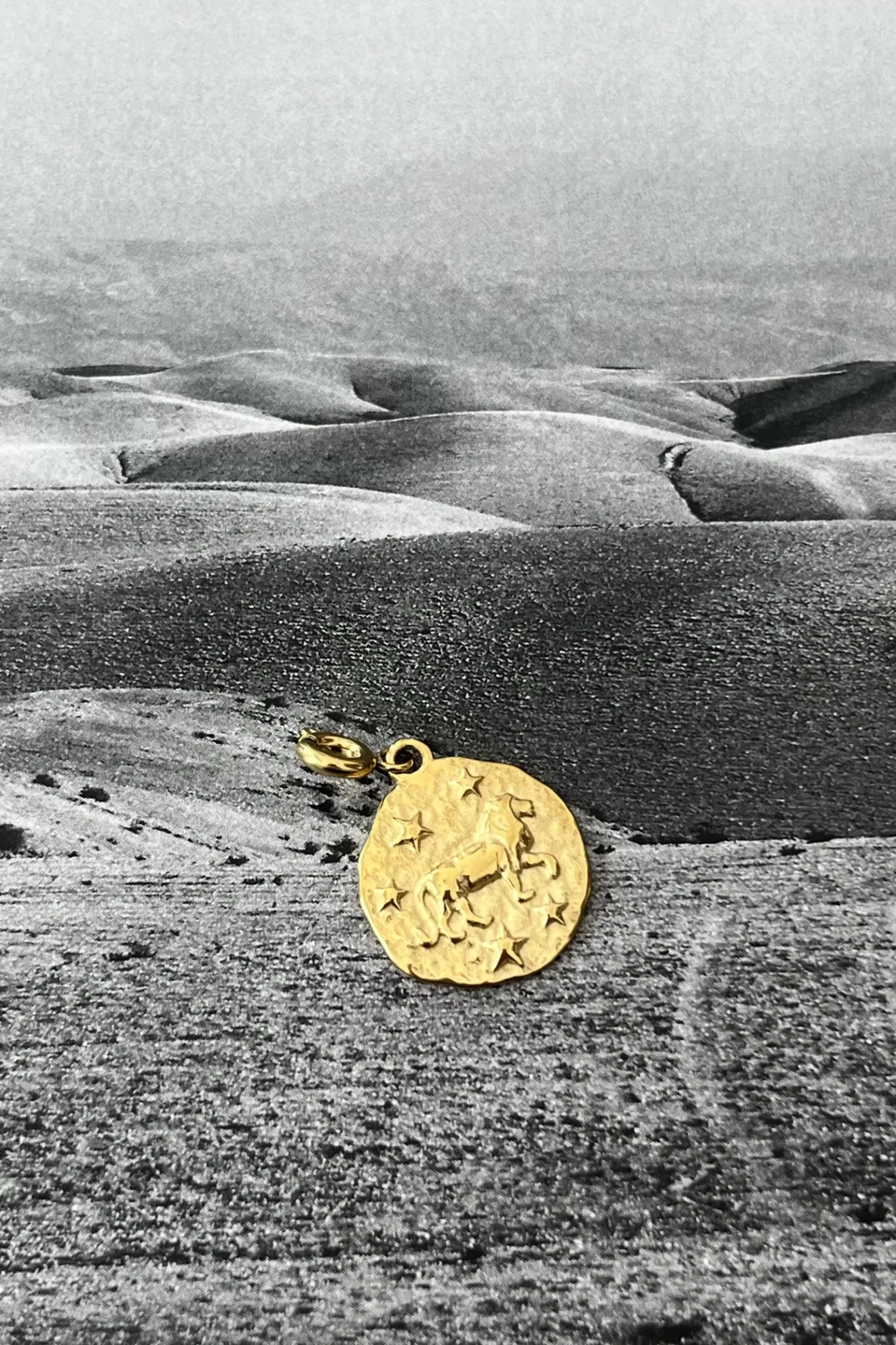 Online Orta Médaillon Lion